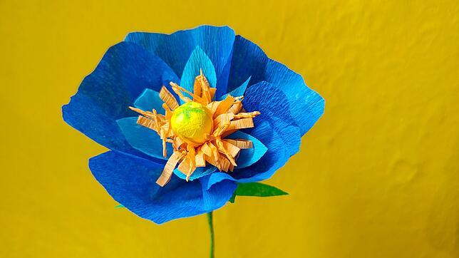 Blumen aus Krepppapier basteln - eine nachhaltige Idee und ideal für Allergiker.
