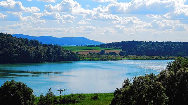 Bild : Schwimmer im Mindelsee gerät in Not und wird von zwei mutigen Spaziergängern gerettet