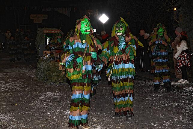 Bild 25: 41 Jahre Heuliecher aus Heudorf: Jubiläum mit Nachtumzug - Die schönsten Bilder!