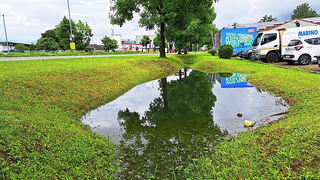 Bild 3: Unwetter am Bodensee: Die Folgen rund um Markdorf aus