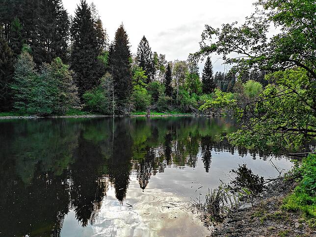 Idyllisch liegt der Weiher der Gemeindewerke Unterkirnach zwischen Maria Tann und der Gemeinde Unterkirnach. Am Sonntag verursachte eine ...