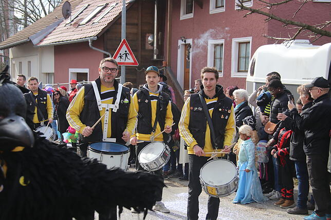 Bild 14: Bilder zum Narrentreffen in Schwerzen (1)