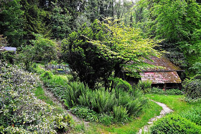 Idylle im Wald: Der Garten der Fuchsfarm. Im Gebäude rechts im Hintergrund wurde in den vergangenen Jahren verletzte Tiere untergebracht ...