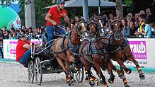 Bild : Zwischen Adrenalin und Tradition: Der spektakuläre Showabend beim Fest der Pferde auf den Immenhöfen