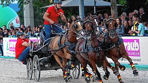 Bild : Zwischen Adrenalin und Tradition: Der spektakuläre Showabend beim Fest der Pferde auf den Immenhöfen