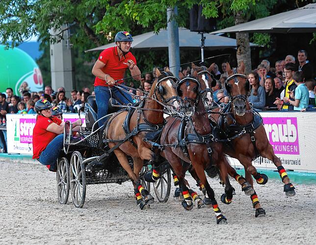 Bild 1: Zwischen Adrenalin und Tradition: Der spektakuläre Showabend beim Fest der Pferde auf den Immenhöfen