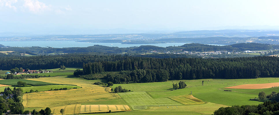 Linzgau HARALD TOLKSDORF (87046859)