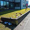 Bild :