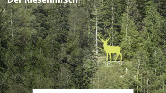 Bald könnte in Todtmoos-Au ein überdimensionaler Hirsch aufgestellt werden. Die Gutachten hierzu werden von der Gemeinde übernommen. ...