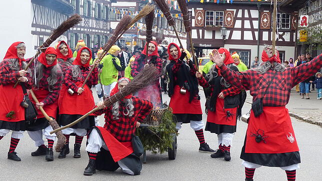 Sie würden, wie ihre verhexten Bermatinger Kolleginnen, als echte Zunft durchgehen: Beim Umzug durchs Dorf trieb diese Hexengruppe ...