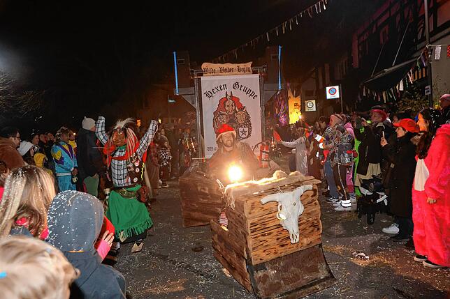 Bild 23: Nachtumzug Möggingen 2025: Fasnacht in Bildern – 30 Gruppen in voller Pracht