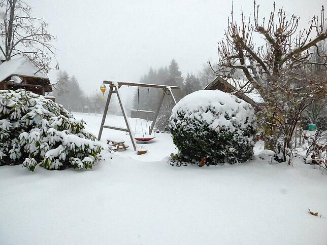 Der Schnee verwandelt diesen Garten in Bergalingen in eine Winterlandschaft.