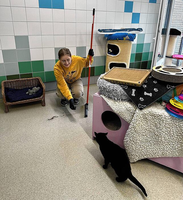 Schülerin Eva spielt mit Kater Balder.
