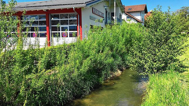 Wenn der Krebsbach nach einem Unwetter über die Ufer tritt, muss nicht nur die Feuerwehr genau wissen, was zu tun ist. Ein Notfallplan ...