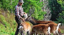 Daniel Sabouret, der Vorsitzende des Fördervereins des Wildgeheges St. Blasien und außerdem Hegewart, hört Ende September aus ...