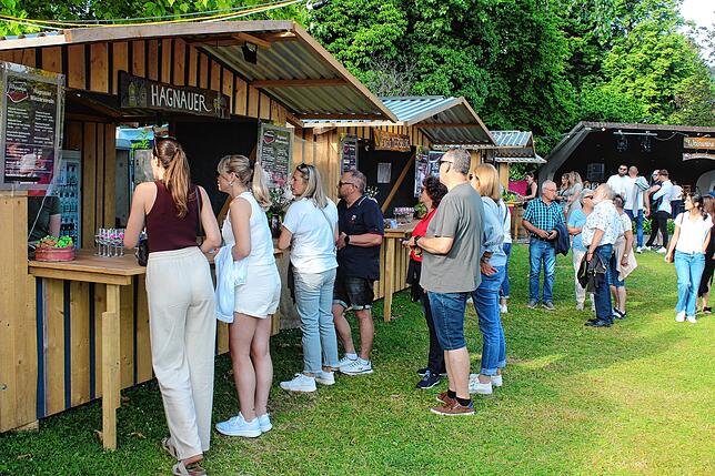 Bild 1: Erste Weinwiese in Ludwigshafen