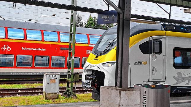 Züge vom Typ Mireo (hier am Bahnhof Offenburg) sollen ab Ende 2027 auch auf der Hochrheinbahn fahren.