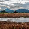Das ist kein See sondern ein Getreidefeld zwischen Hilzingen und Riedheim. Die extremen Regengüsse der vergangenen Wochen setzen den ...