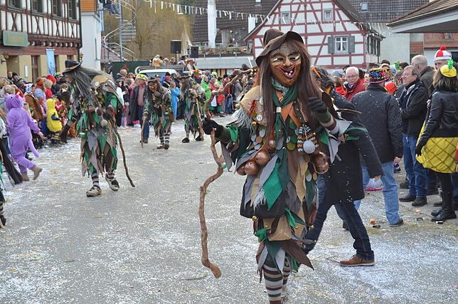 Bild 42: Eigeltinger Narrentage: Der Sonntagsumzug in Bildern (3)