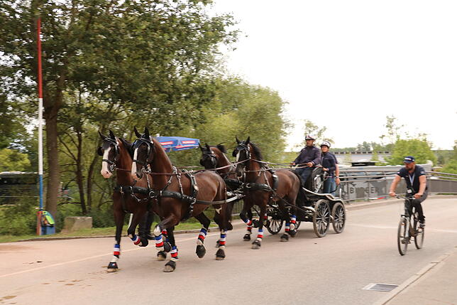 Bild 38: Bilder vom Marathon der Vierspänner beim Reitturnier in Donaueschingen