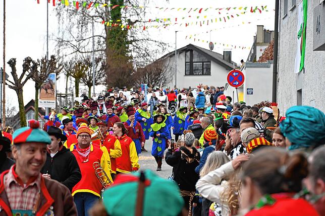Bild 13: Bolupoly begeistert: Die schönsten Bilder vom Fasnachtsumzug mit Spielbrett-Motto in Bodman
