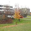 Das Campus-Areal im Bad Säckinger Kurgebiet: Hier wird sich in den nächsten Wochen und Monaten einiges tun. Schon in wenigen Wochen ist ...