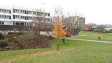 Das Campus-Areal im Bad Säckinger Kurgebiet: Hier wird sich in den nächsten Wochen und Monaten einiges tun. Schon in wenigen Wochen ist ...