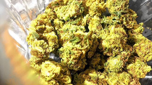Cannabisblüten liegen in einem Glas (Symbolbild). Das Bundesgesundheitsamt der Schweiz hat dem Kanton Basel Stadt ein Gesuch für einen ...
