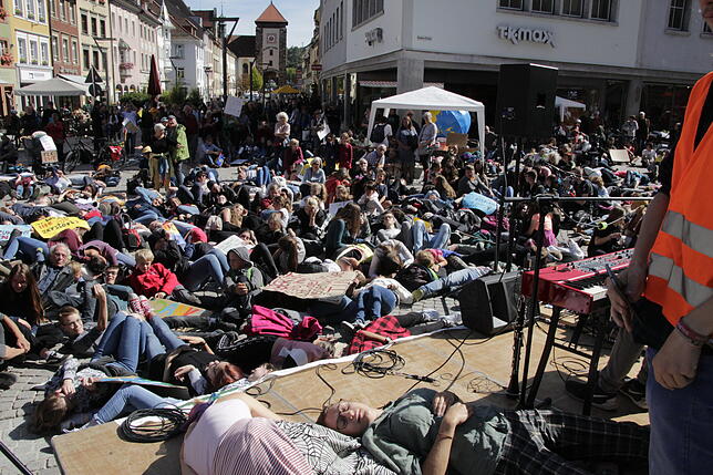 Bild 6: Bilder von der Fridays for Future-Demonstration in Villingen