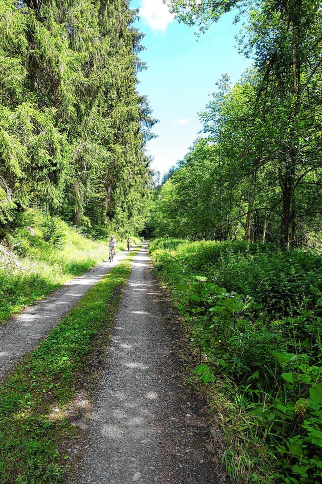 Im Erlenbachtal lässt es sich besonders beschaulich radeln.