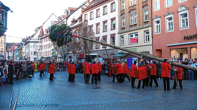 Die können das: Die Schwenninger Ziegel-Buben stellen am 28. Januar in Villingen ihren Narrenbaum auf. Nun soll der Baum den umgekehrten ...