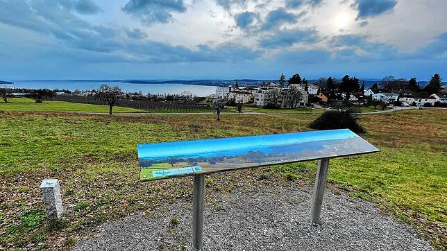Wiese mit Aussicht unterhalb St. Leonhard: Den linken Bereich wirft die Stadtverwaltung als ökologische Ausgleichsfläche für das ...