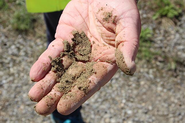 Sand auf der Hand: Dieses Material stammt von einer Bohrprobe aus einer Tiefe von 16 bis 18 Metern.