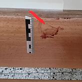 Einer der Blutspritzer von der Tat, der im Wohnhaus trotz einer Grundreinigung noch zu sehen ist.
