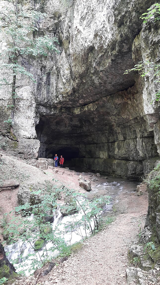 Der Eingang zur Falkensteiner Höhle liegt im Wald unterhalb einer Felssteilwand. Direkt nach dem hohen Eingangsportal biegt der Gang ...