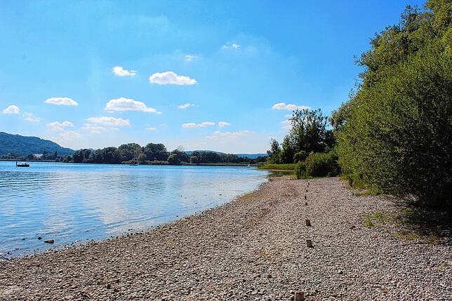 Ein Uferstück bei Ludwigshafen am Weg zum Naturschutzgebiet. Der Kies ist normalerweise unter Wasser.