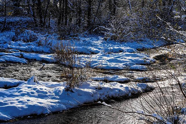 Bild 13: Wintereinbruch im Schwarzwald verschönert durch Schnee und Sonne