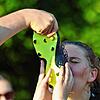 Bild :