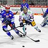 Die Schwenninger Wild Wings starten mit drei Auswärtsspielen in die DEL-Saison.
