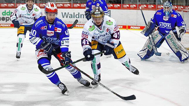 Die Schwenninger Wild Wings starten mit drei Auswärtsspielen in die DEL-Saison.
