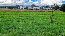 Der Nordstadtversorger soll am Kreisverkehr von Bruderhof- und Remishofstraße realisiert werden. Bis es mit der Baumaßnahme losgeht, ...