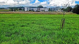 Der Nordstadtversorger soll am Kreisverkehr von Bruderhof- und Remishofstraße realisiert werden. Bis es mit der Baumaßnahme losgeht, ...