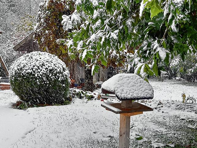 Das Futterhäuschen steht im schneebedeckten Garten für Wildvögel bereit.