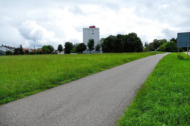 Entlang dieses Wirtschaftsweges soll nach dem Willen des Gemeinderates eine rund 200 Meter lange Lärmschutzwand gebaut werden, um das ...