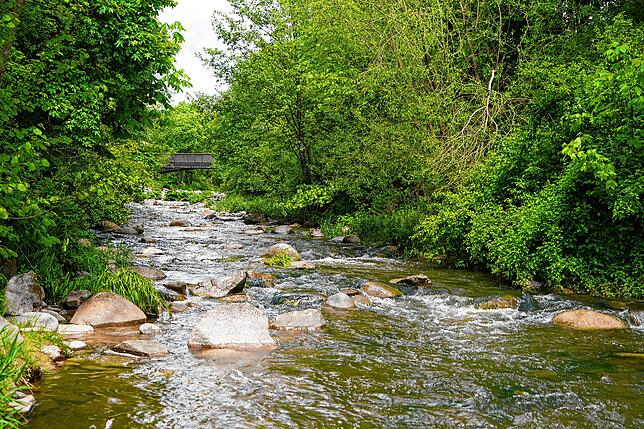 Nach der Renaturierung: Ohne die Abstufungen im Flussbett können sich jetzt Fische und andere Wassertiere wieder frei in der Schlücht ...