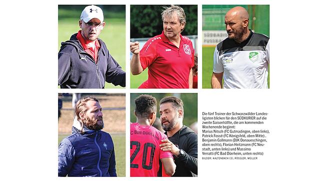 Bild : Fünf Fragen und 30 Antworten
