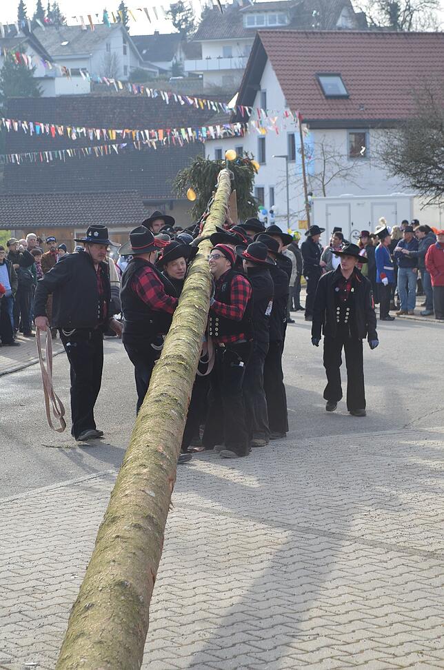 Bild 7: Bilder von den Narrentagen in Eigeltingen &ndash; Der Narrenbaum