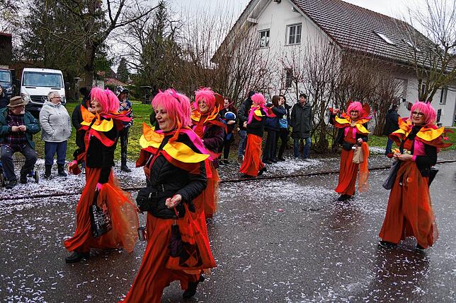 Bild 32: Alle Bilder vom 42. Küssaberger Narrentreffen &ndash; Teil 2