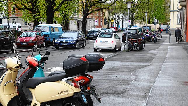 So wie hier im Paradies sieht&lsquo;s überall aus: Auch in der Fahrradstadt Konstanz mit einer hohen Affinität zu anderen ...
