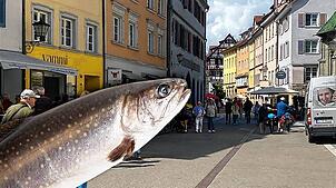 Die Münsterstraße in Überlingen: Hier sollen Jugendlichen Ende August einen Senioren mit einem toten Fisch angegriffen haben. Auf dieser ...